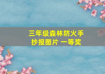 三年级森林防火手抄报图片 一等奖